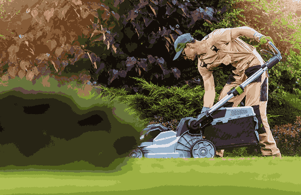 Comprehensive Lawn Care for Seniors: Finding the Best Services Near You